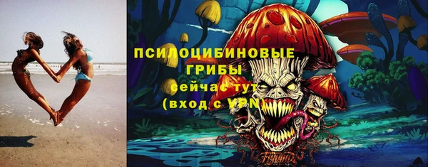 а пвп мука Елабуга