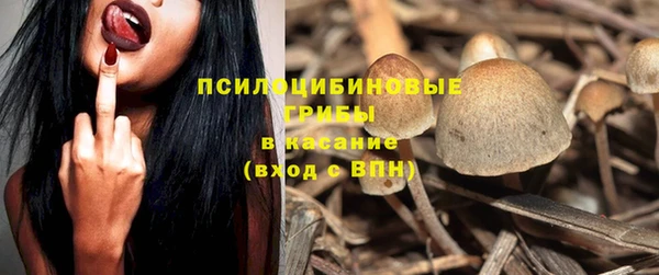 а пвп мука Елабуга