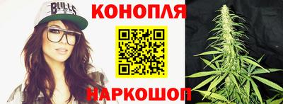 прущие грибы Волжск