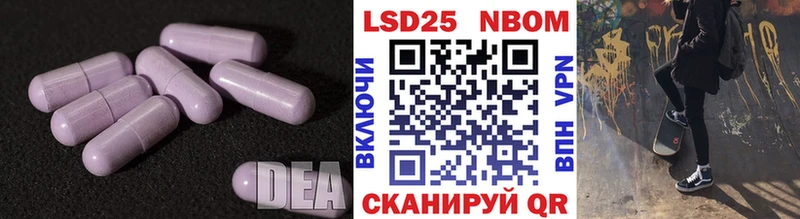 как найти закладки  kraken рабочий сайт  дарк нет какой сайт  Ефремов  ЛСД экстази ecstasy 