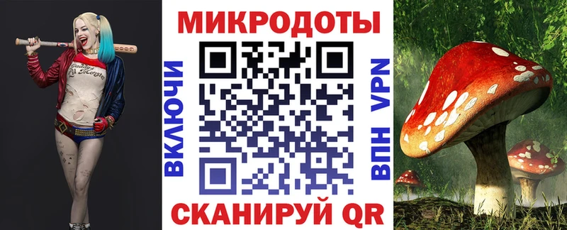 Псилоцибиновые грибы Psilocybine cubensis  Ефремов 