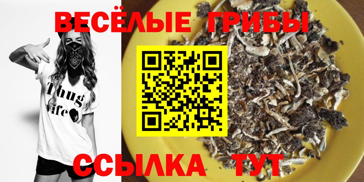 Псилоцибиновые грибы Cubensis Ефремов