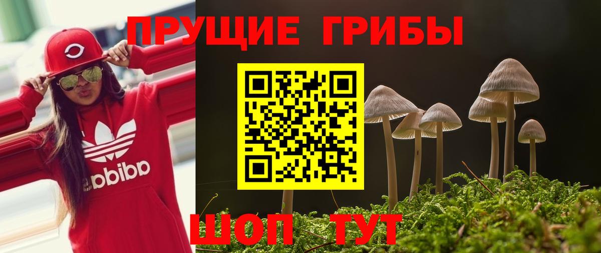 Псилоцибиновые грибы Psilocybine cubensis  Вход с VPN  Ефремов  Псилоцибиновые грибы Magic Shrooms 